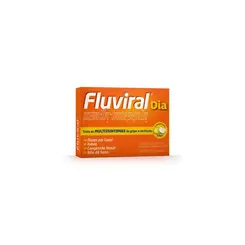 Fluviral Dia Com 20 Comprimidos
